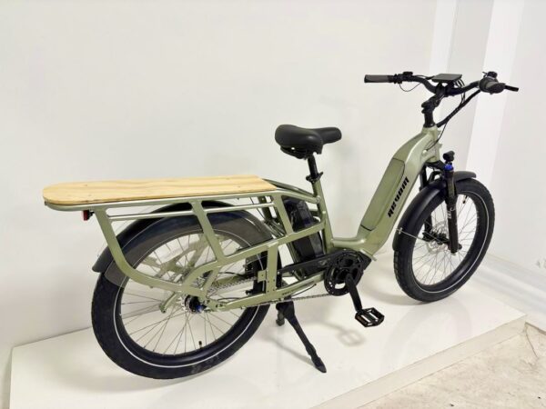 Revom C2 eCargo Bike in Green