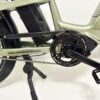 Revom C2 eCargo Bike in Green
