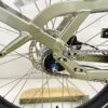 Revom C2 eCargo Bike in Green
