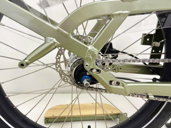 Revom C2 eCargo Bike in Green
