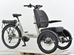 Revom T5 Electric Tricycle