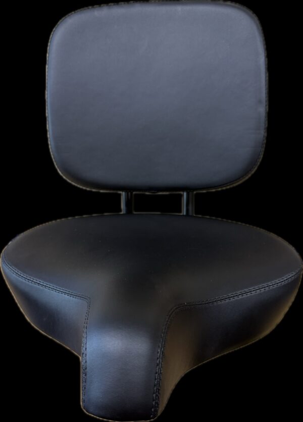 Tricycle Seat with adjustable backrest