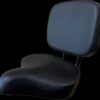 Tricycle Seat with adjustable backrest