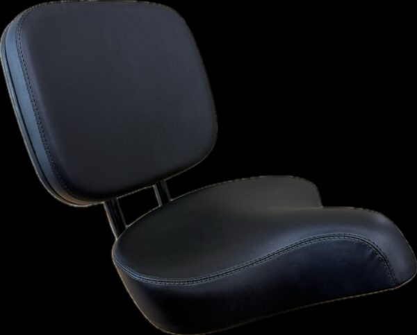 Tricycle Seat with adjustable backrest